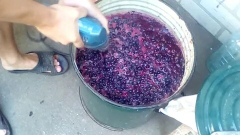 Как выдавить сок из винограда