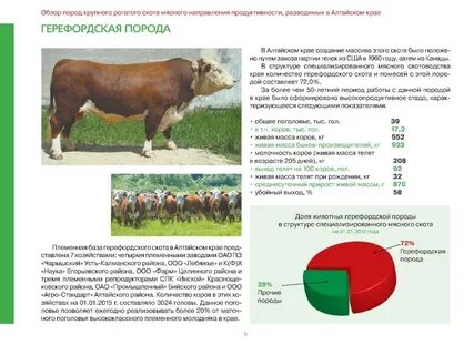 Названия крупного рогатого скота