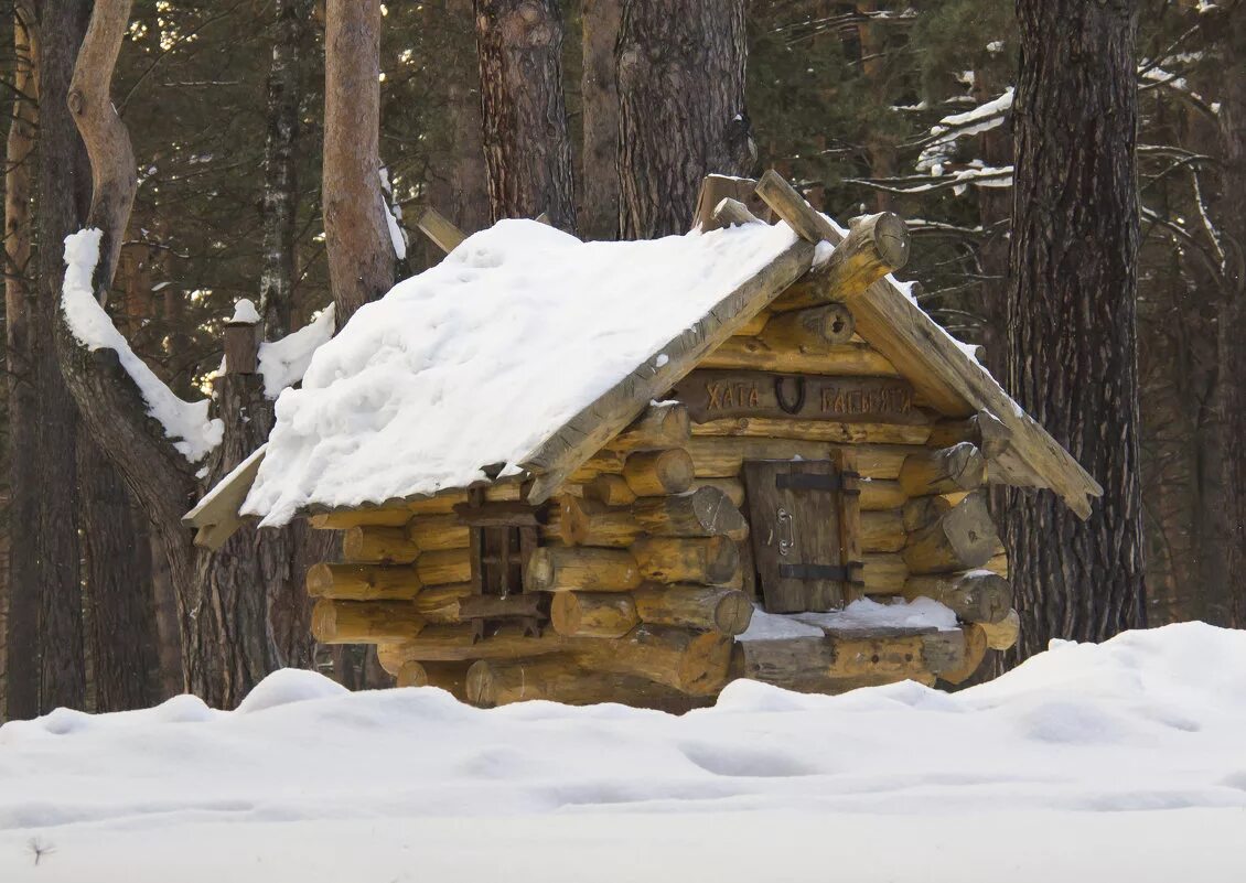 Разговор в зимовье. Ульи для пчел. Зимовье. Зимовье пчел 7 букв. Гнездо шмеля.