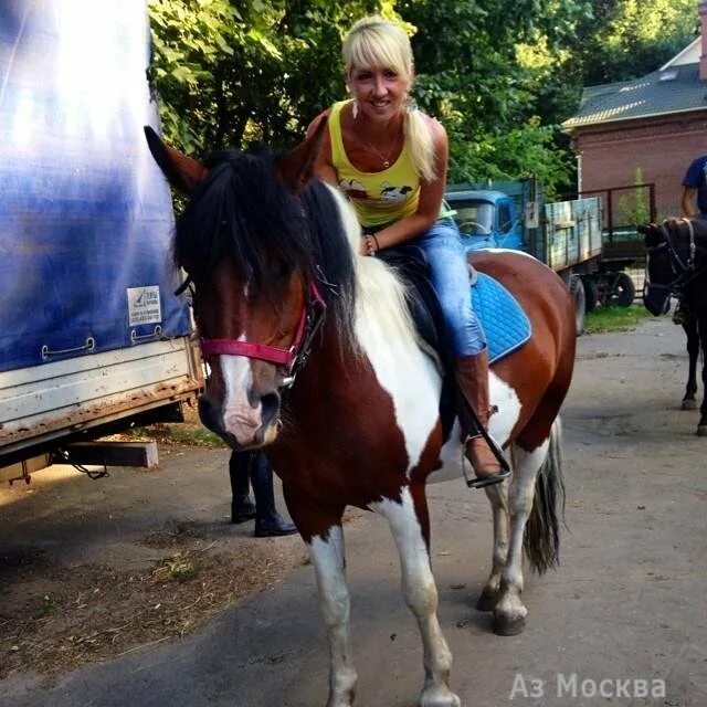 Конный двор яуза москва. Конюшня в москве покататься. Конный двор яуза. Конный двор яуза. Конный центр лосиный остров.