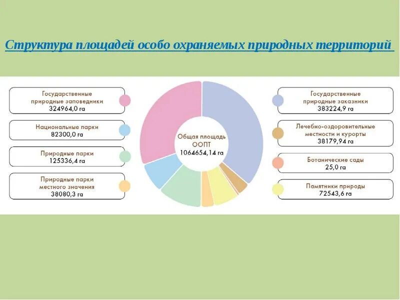 Площадь особо. Структура оопт. иерархия оопт. особо охраняемые природные территории. структура,. структура оопт россии.