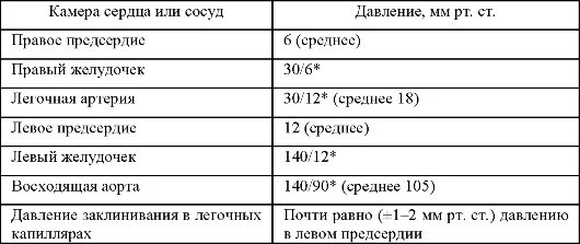 Легочный ствол размеры