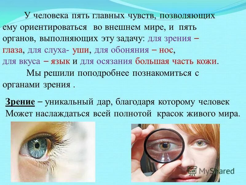 Зрения и дать решение. Презентация на тему зрение человека. Глаз и зрение презентация. Зрение для презентации. Глаза человека для презентации.