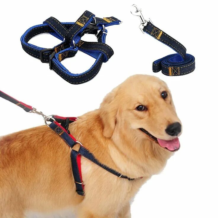 Leash slap. Ошейник с поводком silver 5014-6 bx sit. pet leash поводок. поводок collar 04496. ошейник для собак.