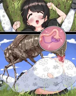 R34 insect - r34.life.