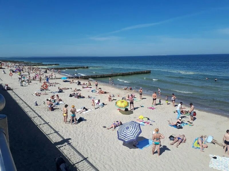 Море в Калининграде в июне. Отпуск в Калининграде. Температура воды в Балтийском море летом в Калининграде. Зеленоградск утро.