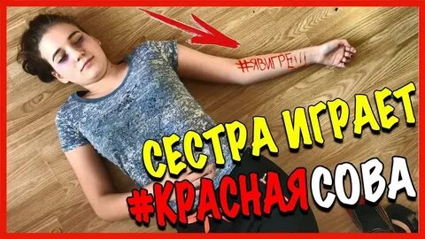 Сова никогда не