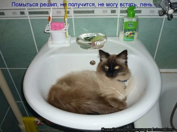 Не могу встать форум. Не могу встать форум