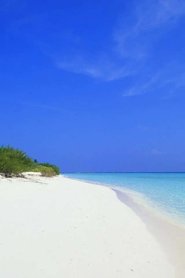 Пляж хайамс. White sand beach (вайт сэнд бич). На каком пляже белый песок. Sandy australian beaches. На каком пляже белый песок.