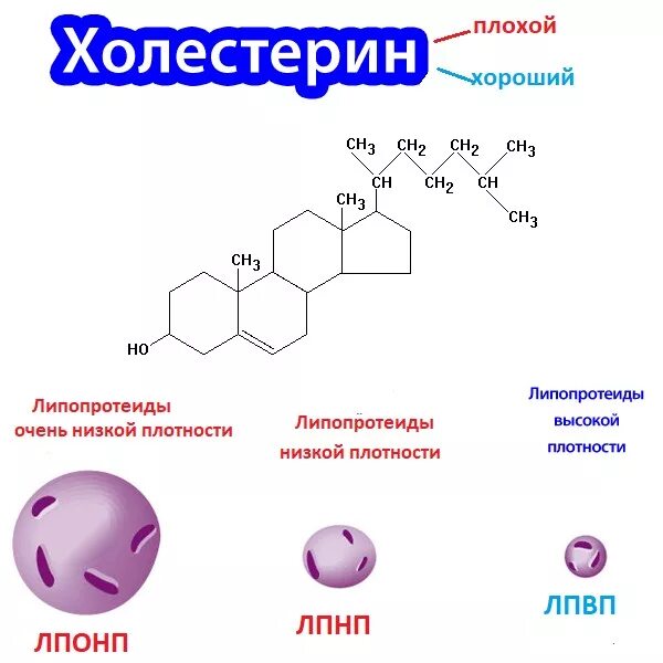 Холестерин. Плохой и хороший холестерин. Кристаллы холестерина. Холестерин строение.