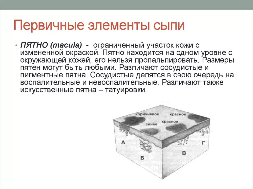 Вторичные элементы. Первичные элементы сыпи. первичные элементы высыпания. морфологические элементы сыпи таблица. возникновение первичных элементов сыпи.