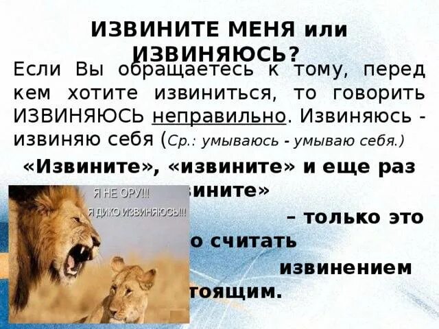 Как правильно писать извините. Извиняюсь или извините как правильно. извените или извините как пишется правильно. как написать слова извинения. как правильно говорить я извиняюсь или извините меня.
