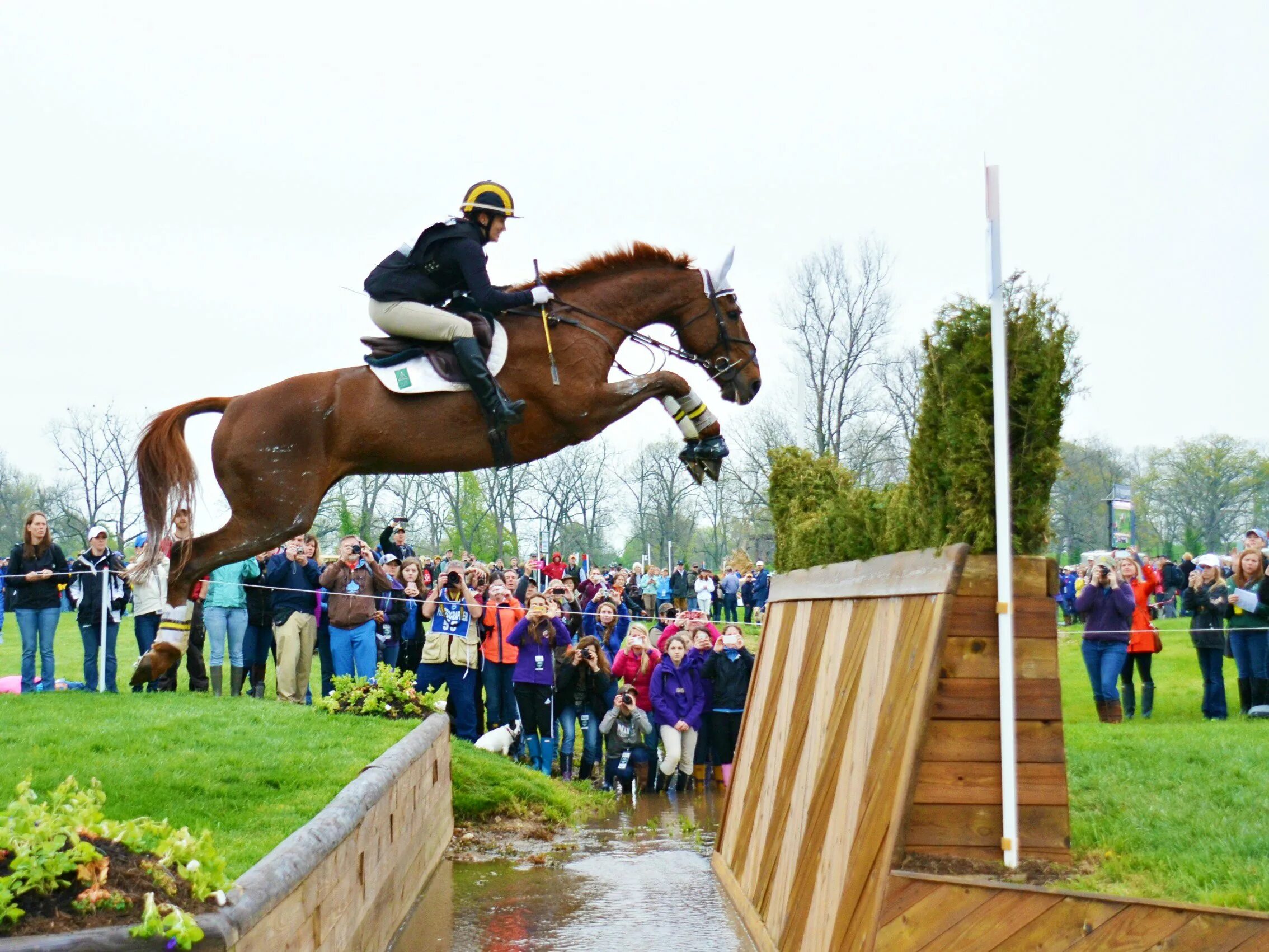 3 day eventing. Троеборье конный спорт. Троеборье кросс. Конное троеборье кросс. Конный троеборье конкур.