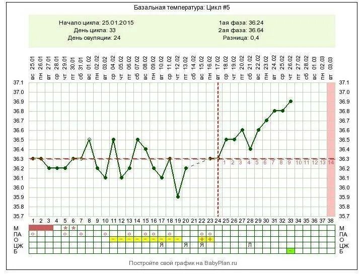 Базальная температура при беременности какая должна быть. Примерный график базальной температуры. Нормальный двухфазный график базальной температуры. Примерный график базальной температуры в норме с овуляцией. Расшифровка Графика базальной температуры при беременности.