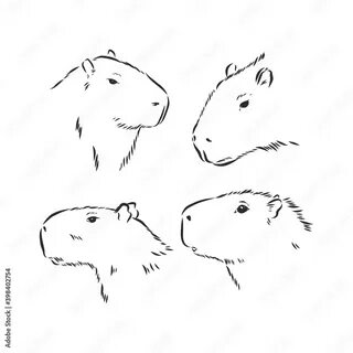 Как можно нарисовать капибару