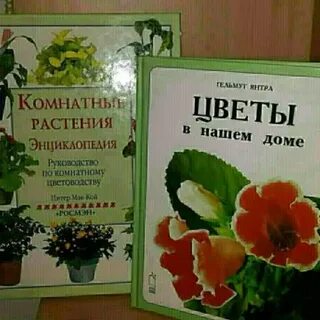 Меняю цветы