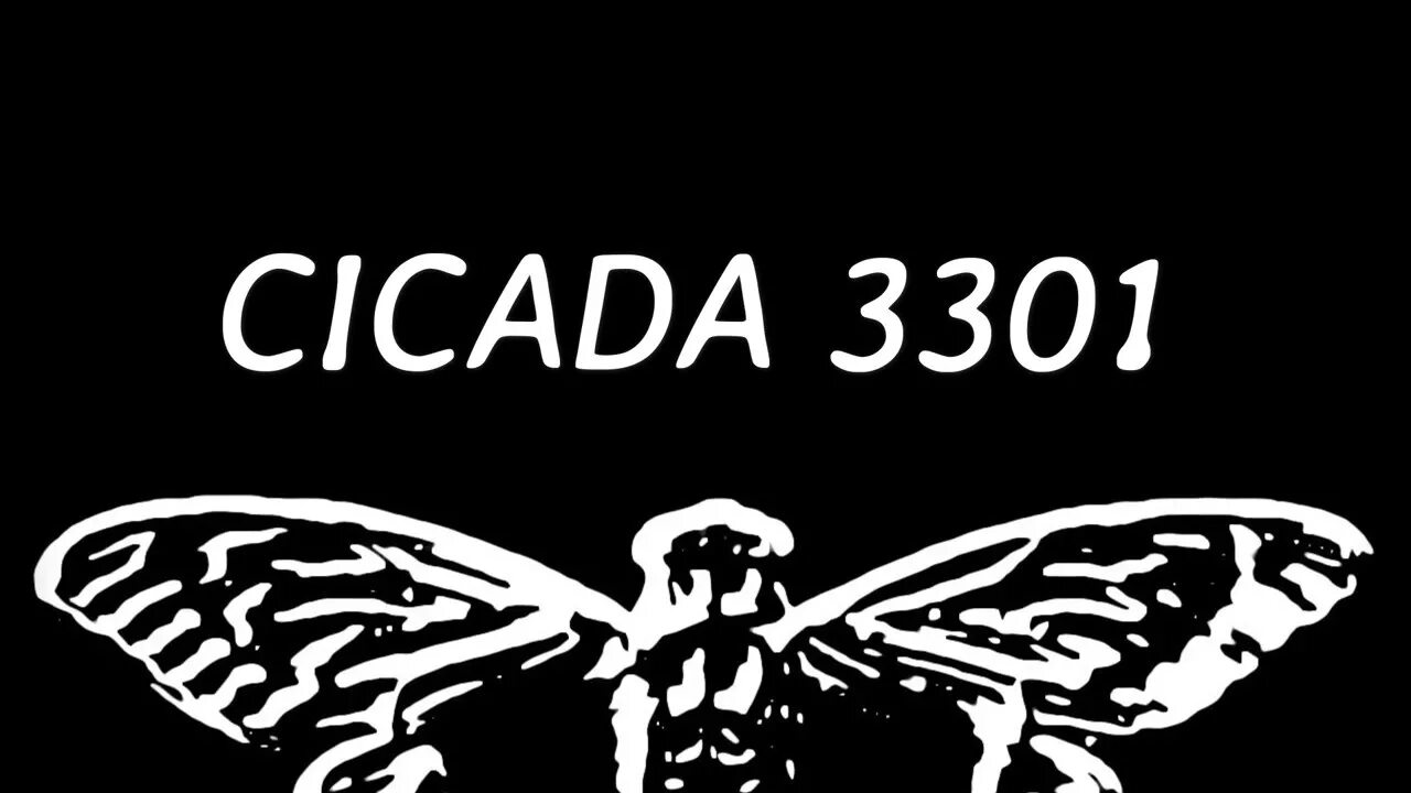 Cicada 3301. Цикада 3301 everywhere. Группа цикады 3301. Цикада 3301. Цикада 3301 первая загадка.