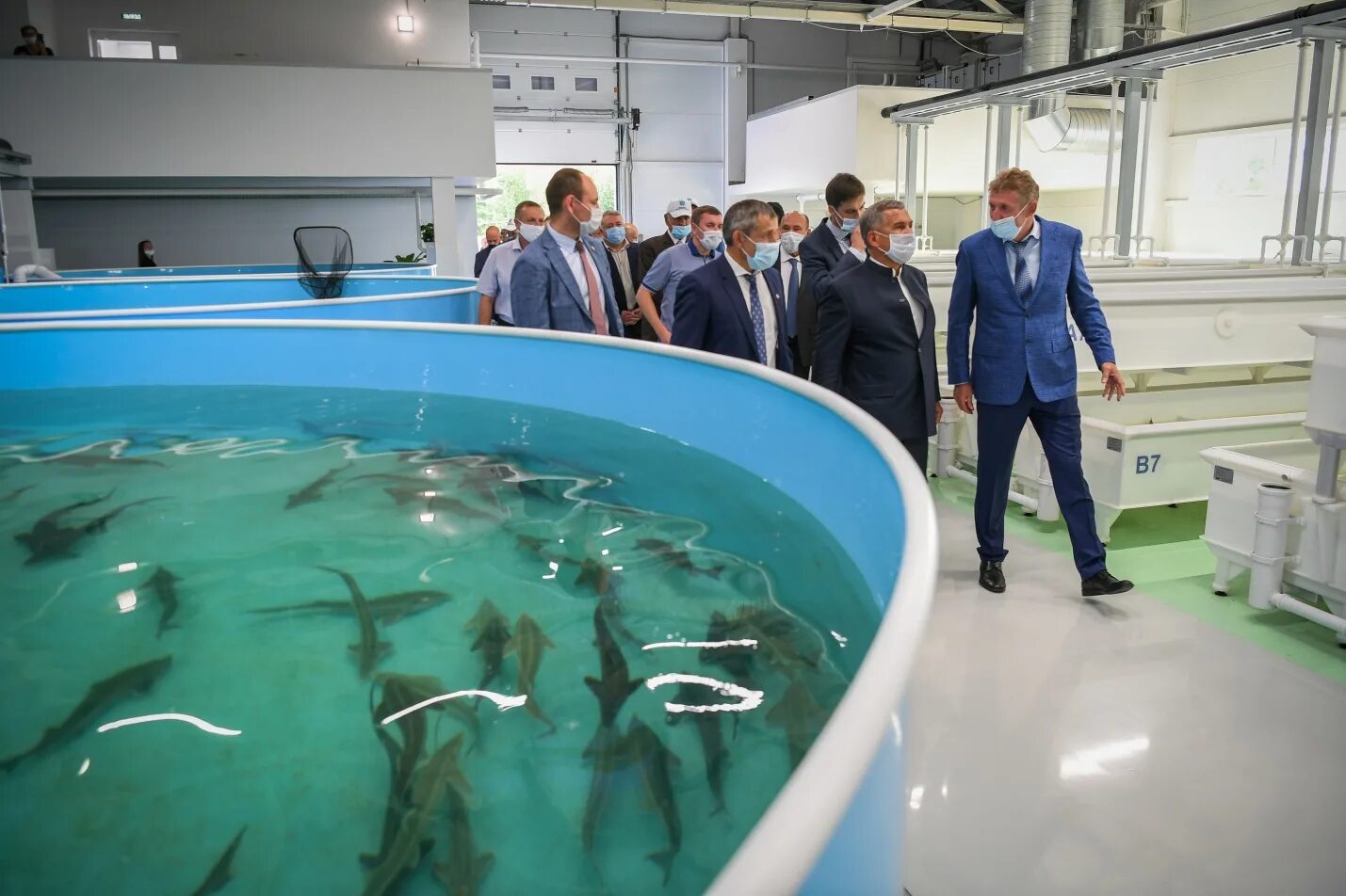 Рыбное казань. Колхозный рынок рыба казань. Казань рыбный рынок. Рыбное казань. Рыбное казань.