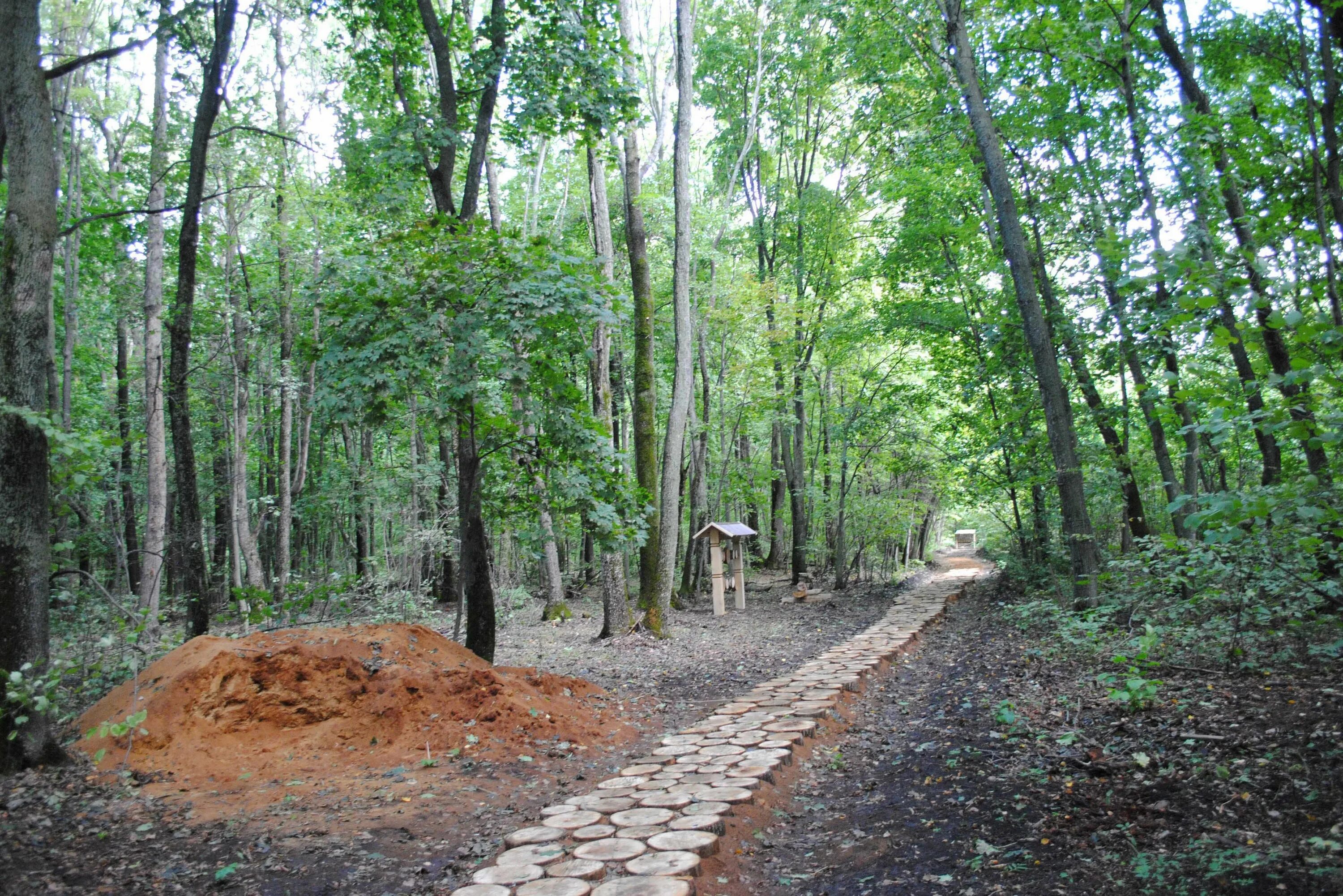 Шипов оф. Павловск воронежская область шипов лес. Шипованная резина. Заводская зимняя шипованная резина ваз 2101. Шипы стран.