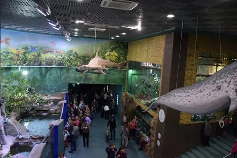 Кассы москвариума