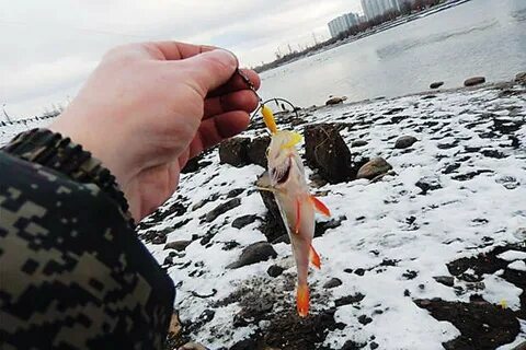 Спиннинг москва река