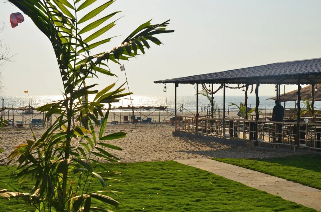 Rock bite 3. Рок байт морджим гоа. отель rock bite resort. rock bite resort индия северный гоа морджим. the acacia morjim ocean front пляж.