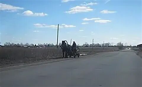 Грушевка таловка новая абрамово