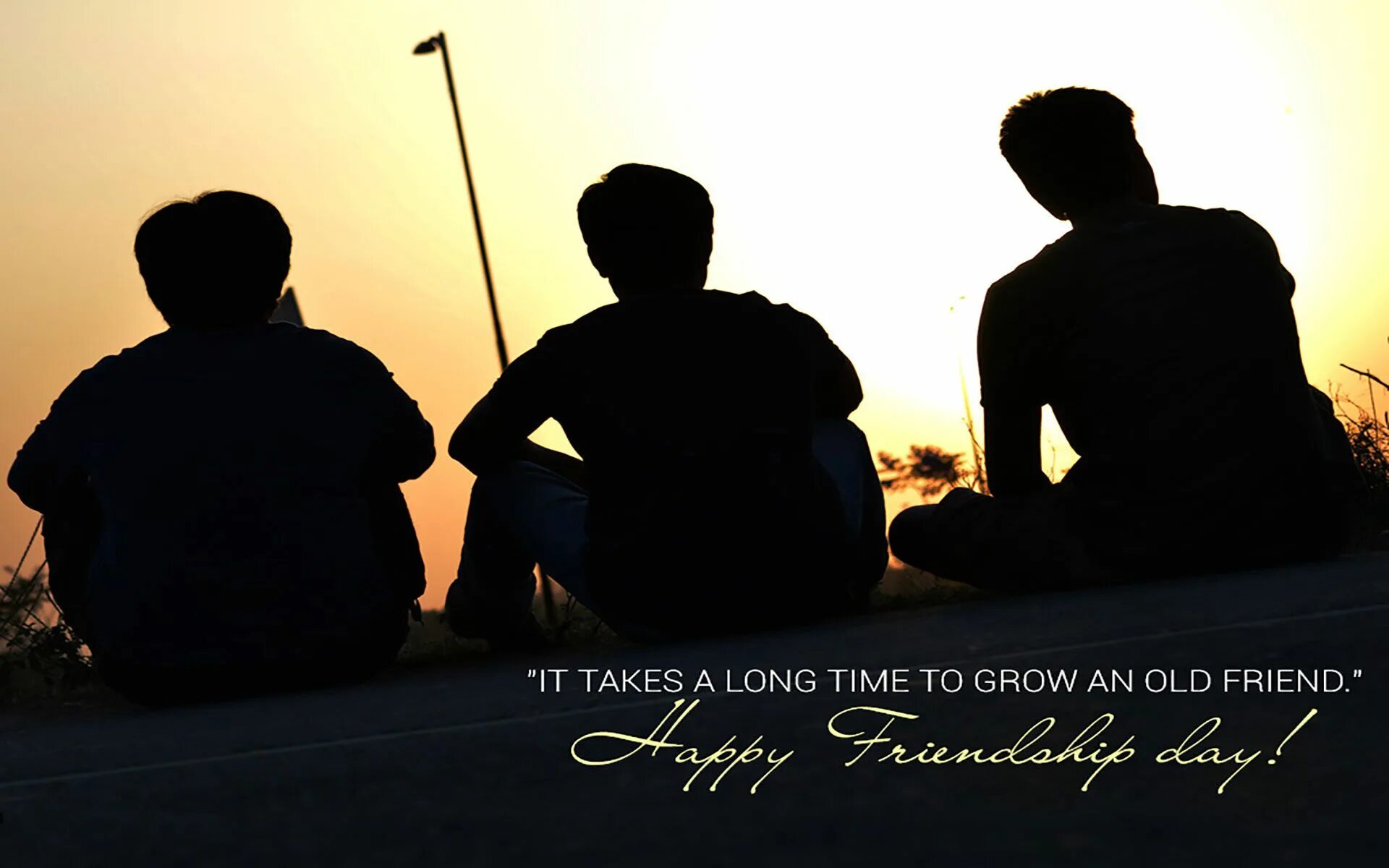 3 Друга. Friends Day. National Friendship Day. Дружба Wallpaper. My best elder friends