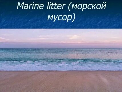 Море языке перевод