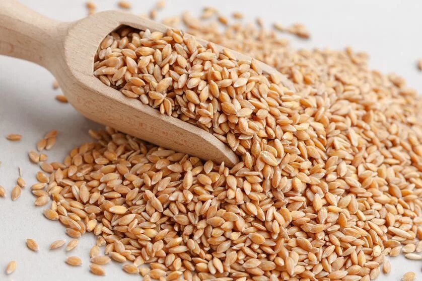 Замените пшеничные зерна. Пшеница зерно. Зерновка пшеницы. Мелкое зерно в пшенице. Крупа пшеничная (Wheat Grits).