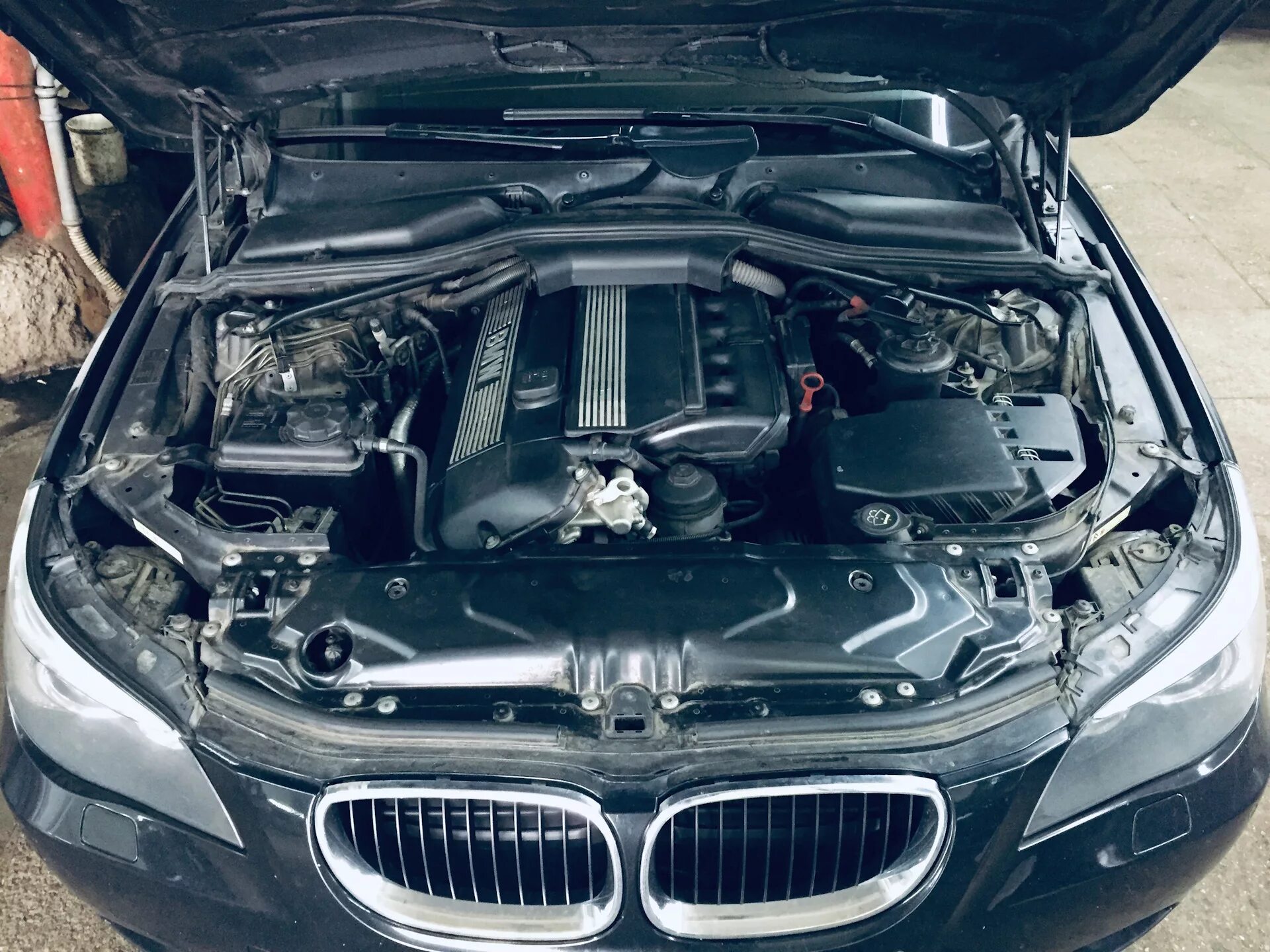 БМВ е60 дизель. BMW e60 m54. Мотор m54 BMW e60. БМВ е60 мотор м54.