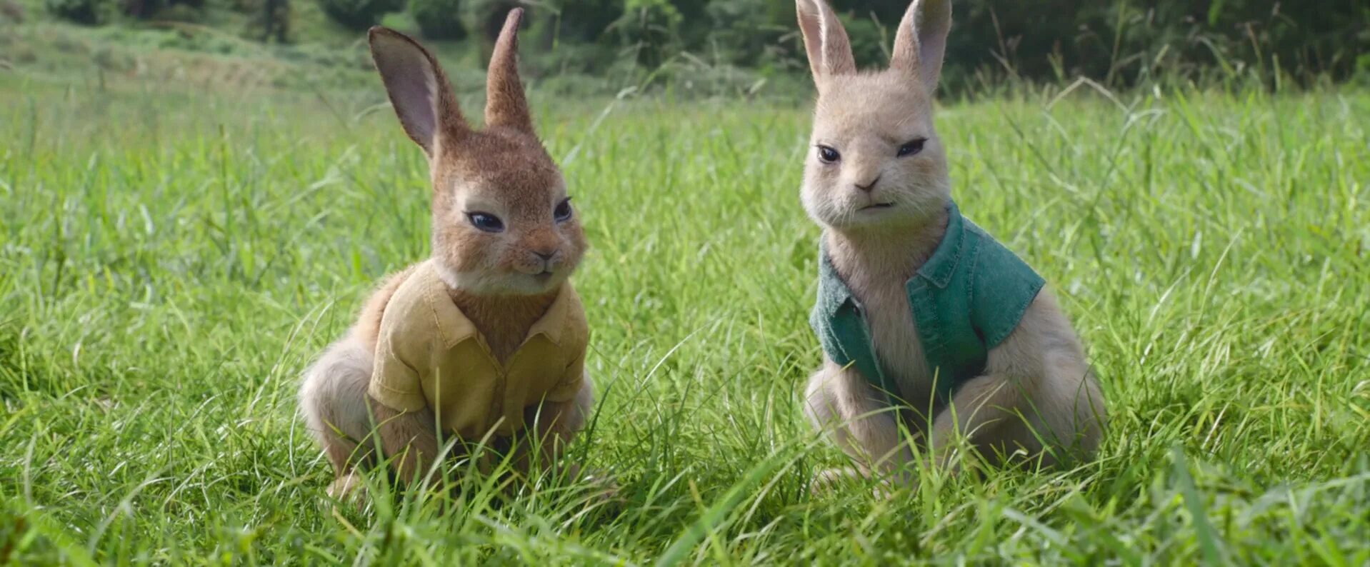 Rabbit 2. Rabbit 2