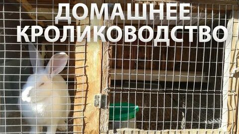 Про содержать