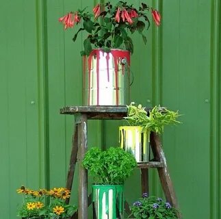 Plant flowers recycle cans collect