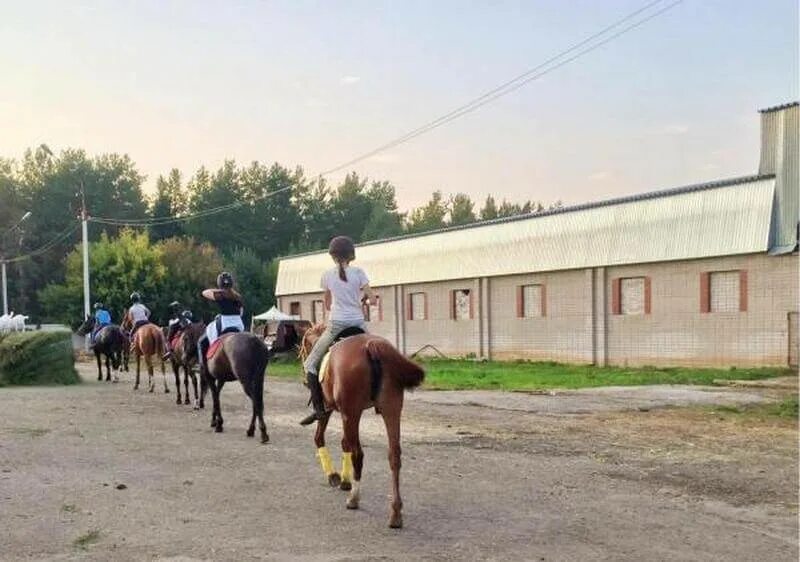 Конная школа набережные челны. Тулпар набережные челны конно-спортивная. ксш тулпар набережные челны. тулпар лошади набережные челны. конно спортивная школа тулпар.
