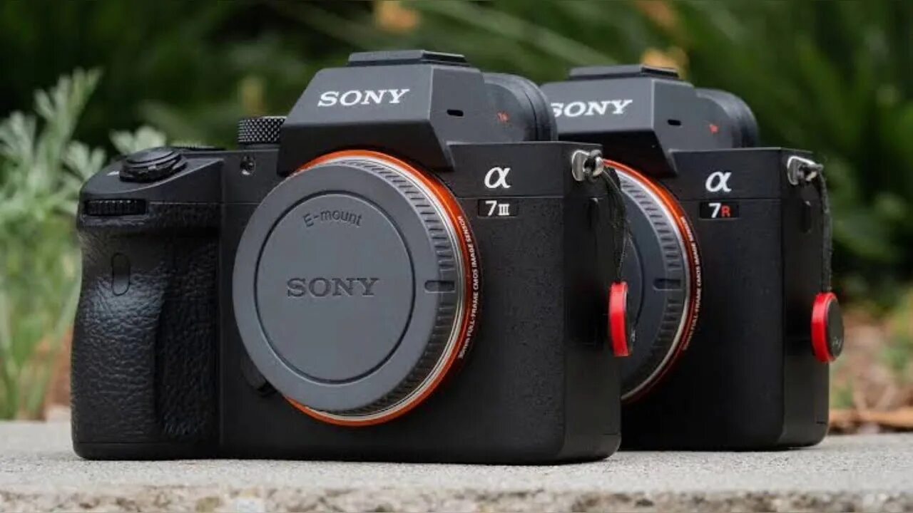 Sony a7r III. Sony Alpha a7s III. Беззеркальный фотоаппарат Sony Alpha a7 Mark III. Фотоаппарат Sony a 7iii 4r. Alpha a7r v