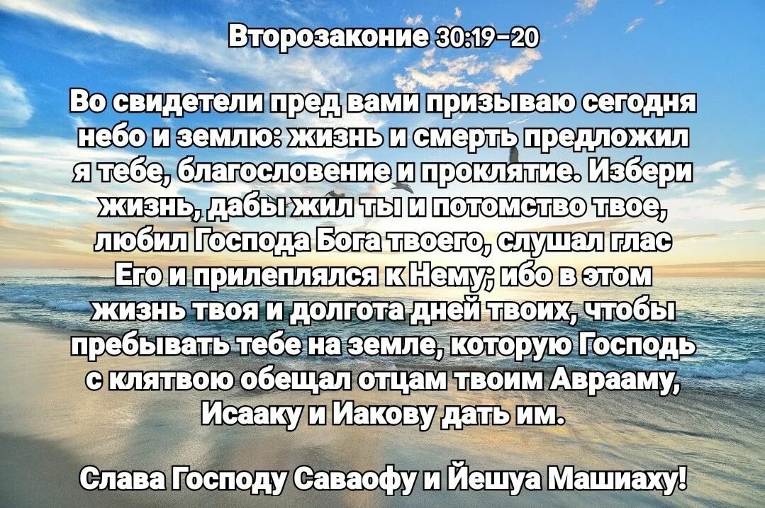 Хочу пребывать. Во свидетели пред вами призываю сегодня небо и землю. Второзаконие 30:19. Второзаконие 30:19,20. Ибо ты Господи благ и милосерд и многомилостив ко всем призывающим.