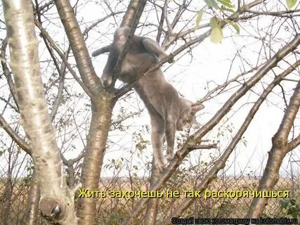 Жить захочешь не так