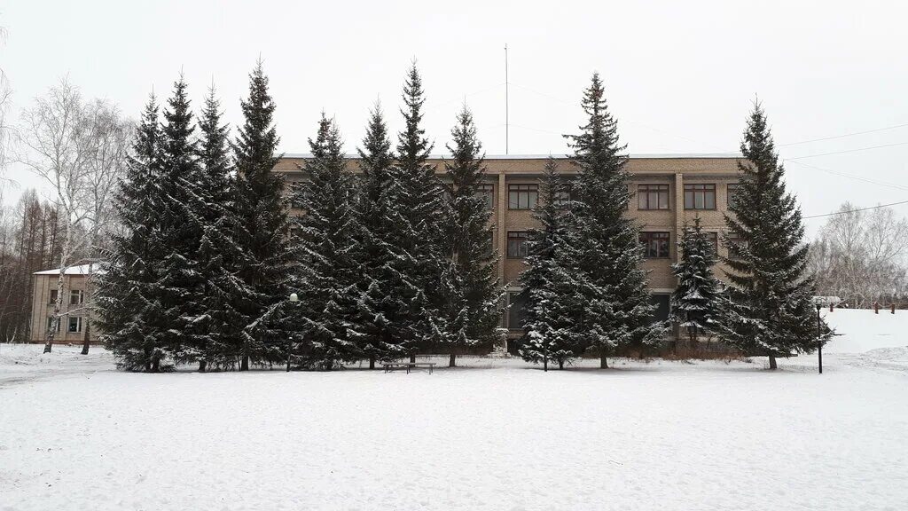 детский санаторий омск. стальского 4/1 санаторий в омске. легочно туберкулезный санаторий красноярка детский. детский санаторий №2 омск. дорохово санаторий 58 туберкулезный.