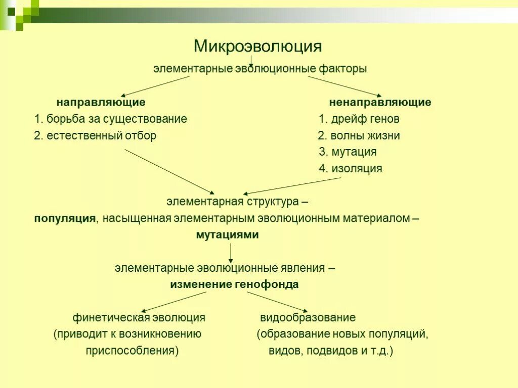 Элементарные эволюционные факторы микроэволюции. Элементарные факторы эволюции таблица биология 9 класс. Факторы эволюции схема. Элементарные факторы эволюции результат. Установите последовательность образования новых видов в природе