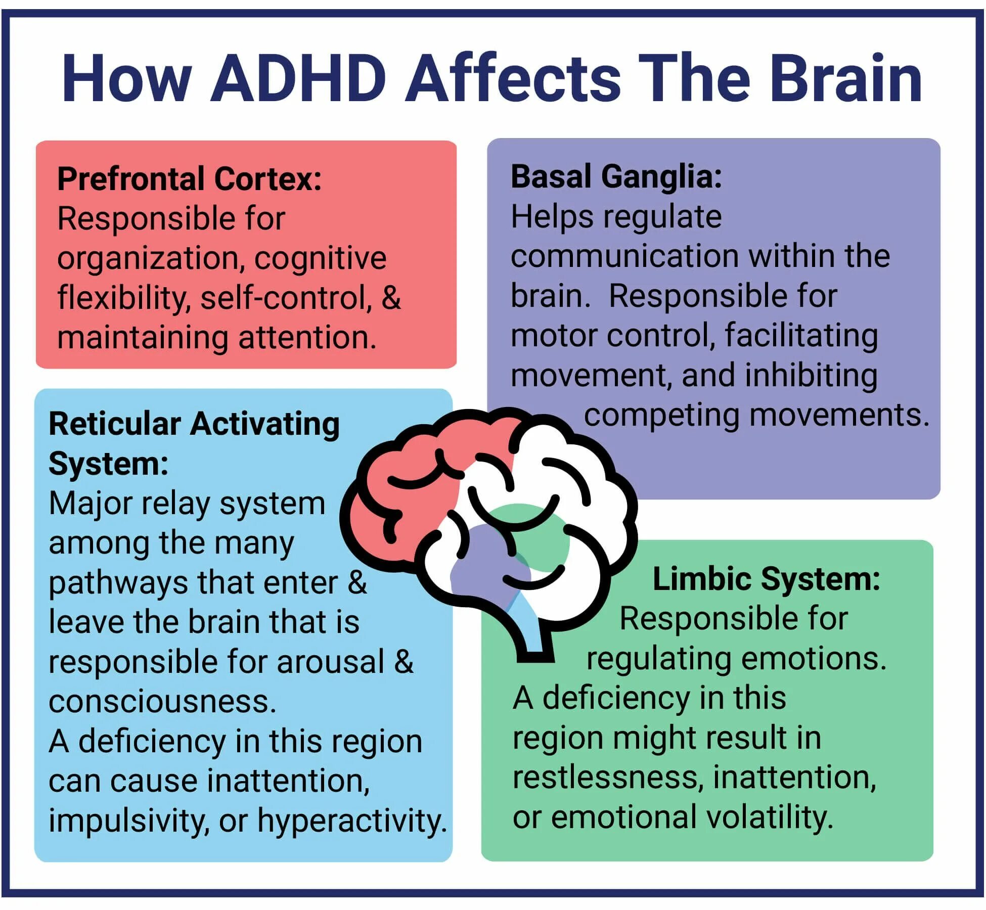 Attention deficit hyperactivity disorder. ADHD Brain. ADHD causes. What is ADHD. Attention-deficit/hyperactivity Disorder (ADHD).