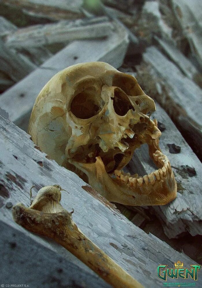 Череп вылезть. Череп вылезть