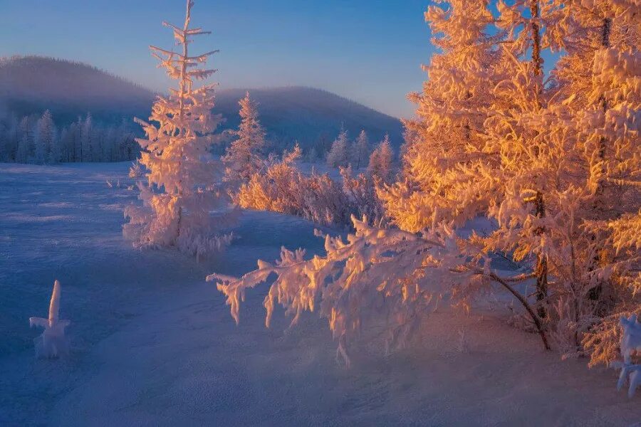 Прогулка в зимнем лесу. В том числе зимой. В том числе зимой. В том числе зимой. Великий устюг полоскалки для белья.