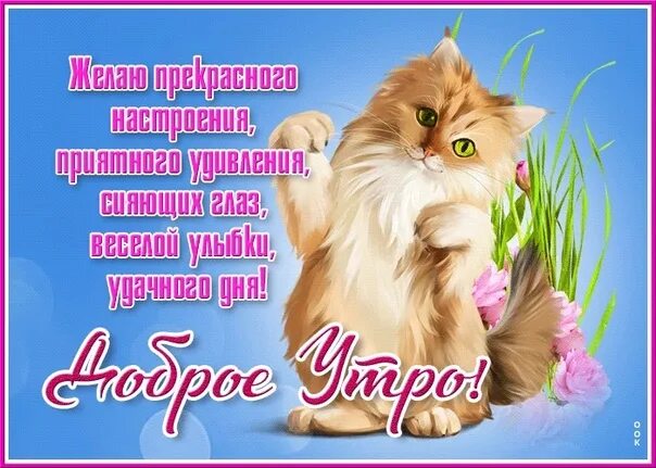 Открытка веселая доброе утро и хорошего дня. Открытки с добрым утром. очень красивые открытки с добрым утром. открытка доброе утро и хорошего настроения. доброе утро прекрасного дня прикольные.