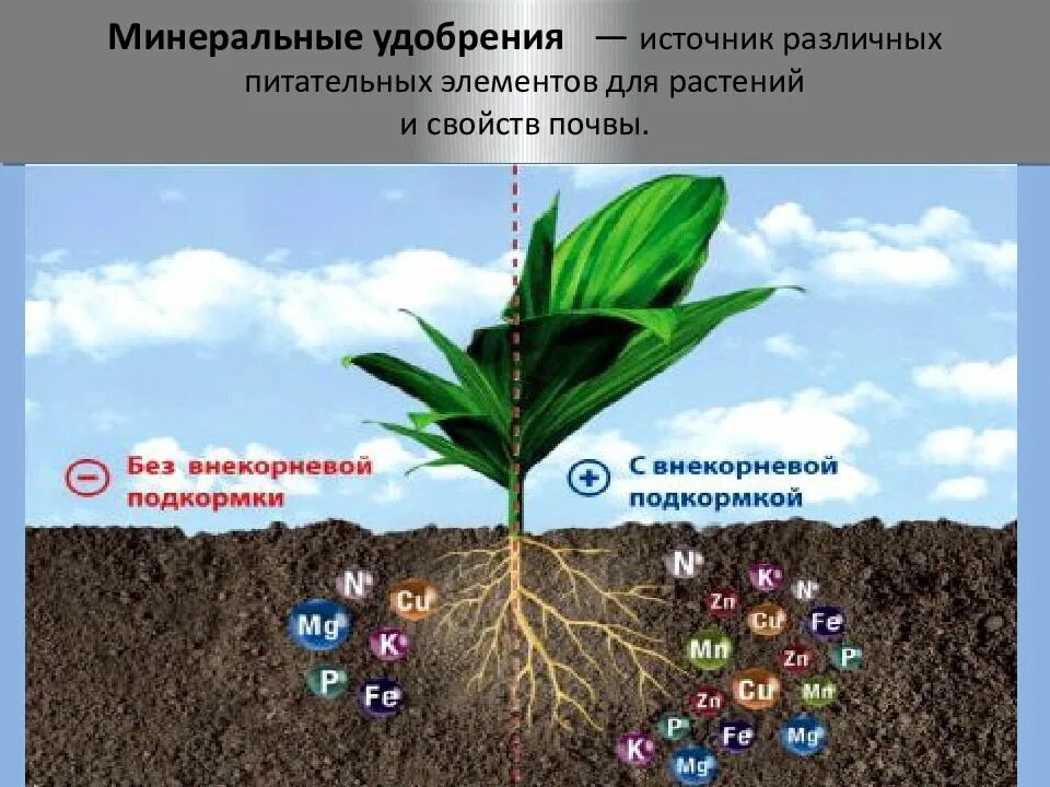 Питательные элементы почвы. Микроэлементы для растений. подкормка растений. микроэлементы в почве. удобрение для внекорневой подкормки.