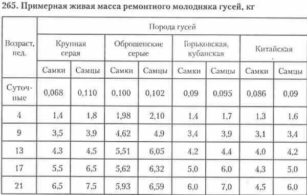 Сколько нужно соли на килограмм гуся. Вес гуся в 2 месяца таблица. вес гусей породы линда в 2 месяца.. вес гуся в 2 месяца. таблица веса гусей.