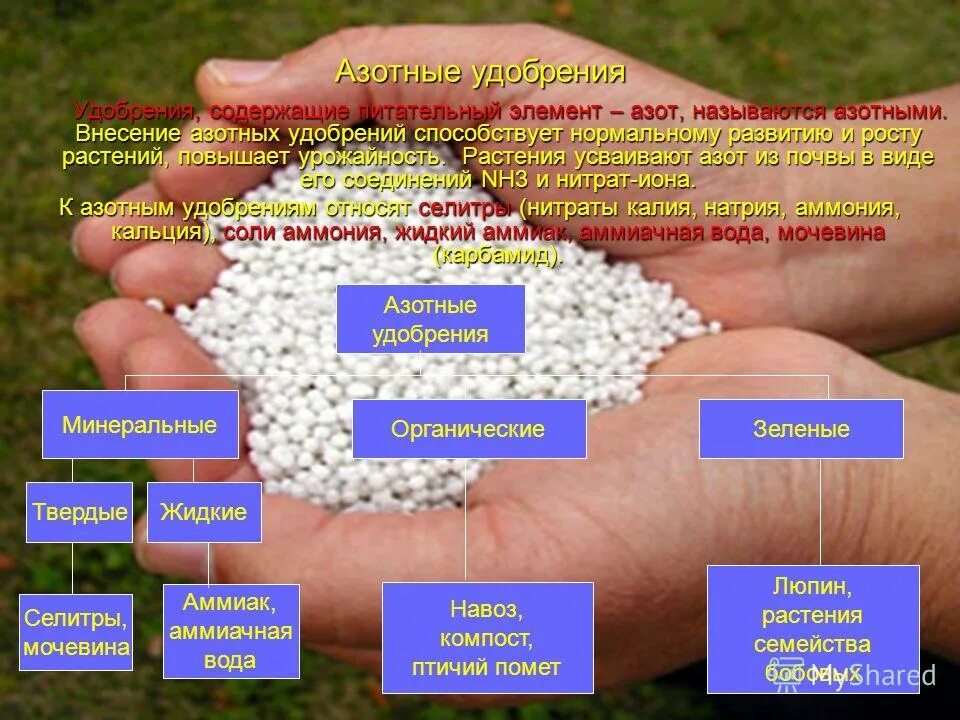 Азот фосфор калий для растений. Роль азота для растений. Минеральные вещества содержащие фосфор. Полноценные белки содержатся. Азот фосфор калий для растений.