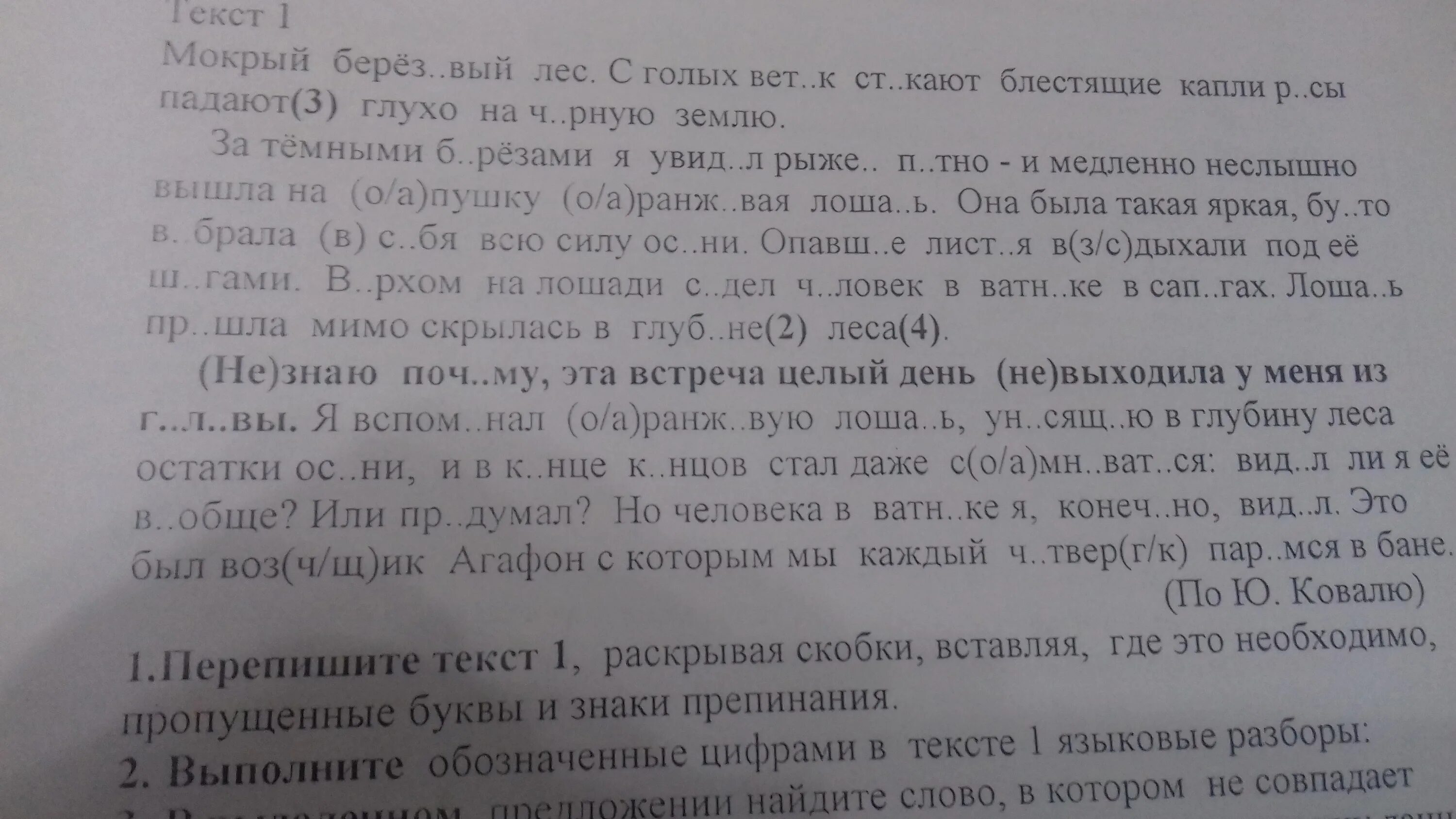 Ранним утром впр по русскому 5 класс. Шпоры на ВПР 6 класс русский язык. Шпаргалки на ВПР по русскому языку 6 класс. Шпаргалки на ВПР 5 класс русский язык. Шпаргалки на ВПР по русскому языку 5 класс.