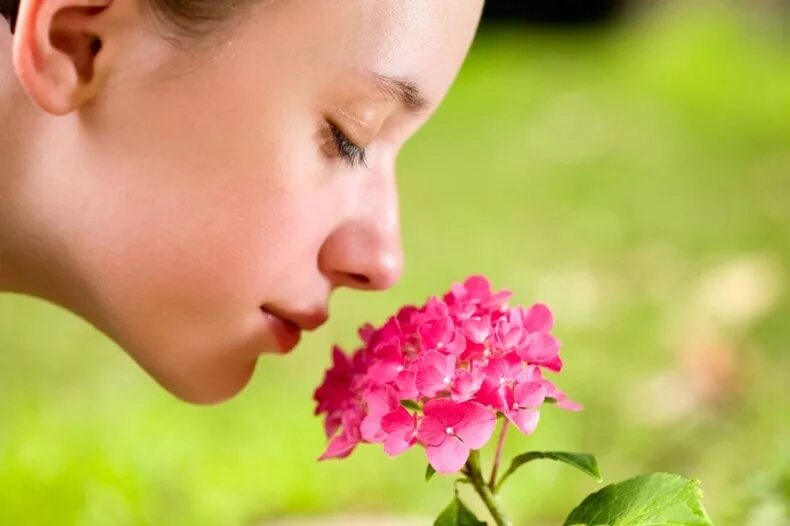 Запах обонятельные. Обоняние. Человек нюхает цветок. Девушка нюхает цветы. Обоняние цветы.