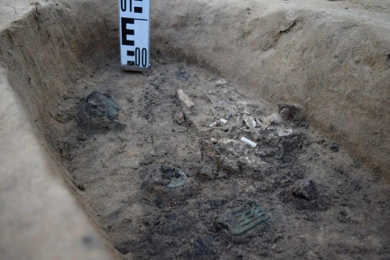 необычные находки в земле. археологические находки мамонта. археология находки в раскопе. археологические раскопки. ученый палеонтолог на раскопках.